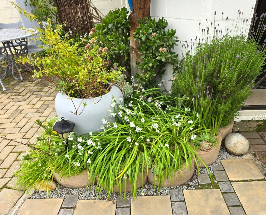 3 Bedroom Property for Sale in Wellington North Western Cape